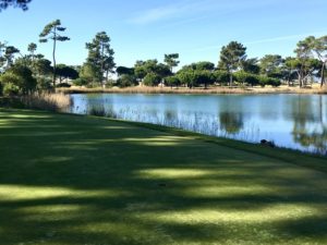 Newsletter November 2021